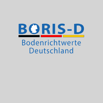 BORIS-D